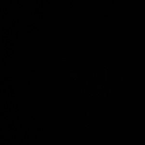 Meet your Posher, Cassidy